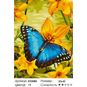 Бабочка на желтом цветке Раскраска картина по номерам акриловыми красками на холсте Menglei