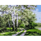 Березы у дороги Раскраска картина по номерам акриловыми красками на холсте Menglei