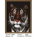 Портрет тигра Алмазная мозаика на подрамнике