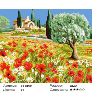 Количество цветов и сложность Поле с маками и ромашками Раскраска картина по номерам на холсте ZX 20800