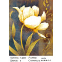 Белые тюльпаны Алмазная вышивка мозаика