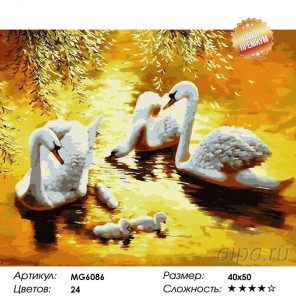 Количество цветов и сложность Лебеди в золоте заката Раскраска картина по номерам на холсте MG6086