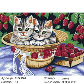Количество цветов и сложность Котята в под малиной Раскраска картина по номерам на холсте Z-EX5802