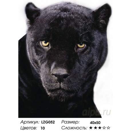 Количество цветов и сложность Черная Пантера Алмазная вышивка мозаика LZG052