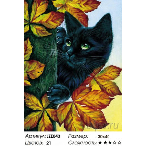  Черный кот Алмазная вышивка мозаика LZE043