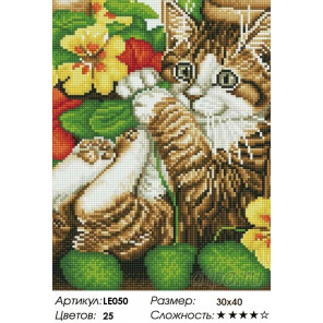  Игривый котенок Алмазная мозаика на подрамнике LE050