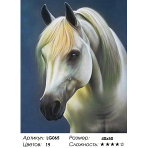  Белая лошадь Алмазная мозаика на подрамнике LG065