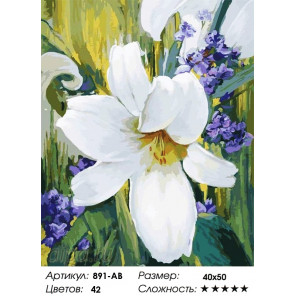 Количество цветов и сложность Лилия Раскраска картина по номерам на холсте Белоснежка 891-AB