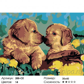 Количество цветов и сложность Знакомство Раскраска картина по номерам на холсте Белоснежка 200-CE