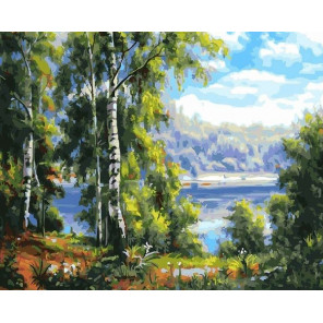 Березки у озера Раскраска картина по номерам на холсте