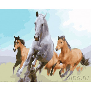  Дикие лошади Раскраска по номерам на холсте CG872