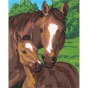 Лошадь и жеребенок Раскраска (картина) по номерам Dimensions 