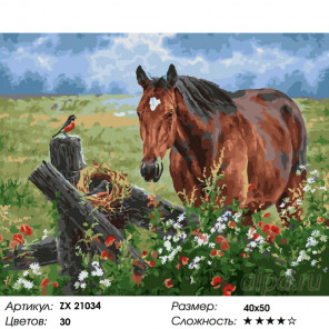 Количество цветов и сложность Лошадь на лугу Раскраска картина по номерам на холсте ZX 21034