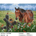 Лошадь на лугу Раскраска картина по номерам на холсте