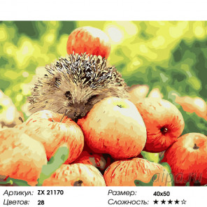 Количество цветов и сложность Яблочный урожай Раскраска картина по номерам на холсте ZX 21170