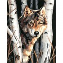 Волк среди берез 91254 Раскраска по номерам Dimensions 