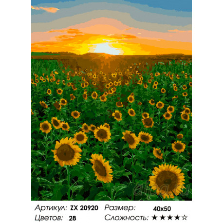 Количество цветов и сложность Подсолнухи на закате Раскраска картина по номерам на холсте ZX 20920