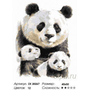  Семейство панд Раскраска картина по номерам на холсте ZX 20267