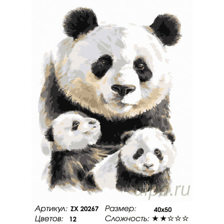 Количество цветов и сложность Семейство панд Раскраска картина по номерам на холсте ZX 20267