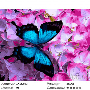  Синяя бабочка Раскраска картина по номерам на холсте ZX 20593