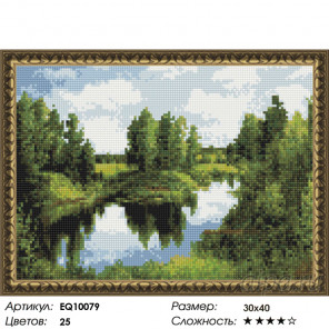 Количество цветов и сложность Озеро в лесу Алмазная вышивка мозаика на подрамнике  EQ10079