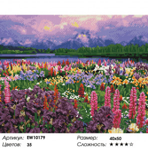 Количесвто цветов и сложность Полевые цветы Алмазная вышивка мозаика на подрамнике  EW10179
