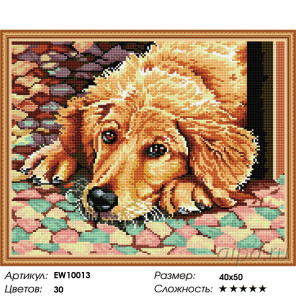 Количество цветов и сложность Преданная собака Алмазная вышивка мозаика на подрамнике  EW10013