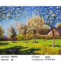 Цветущие яблони Раскраска картина по номерам на холсте