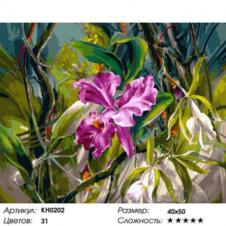 Количество цветов и сложность Волшебный ирис Раскраска картина по номерам на холсте KH0202