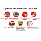Выращивание