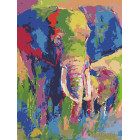  Разноцветный слон Раскраска картина по номерам на холсте ME1008