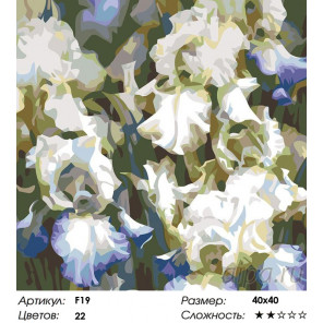 Количество цветов и сложность Белые ирисы Раскраска картина по номерам на холсте F19