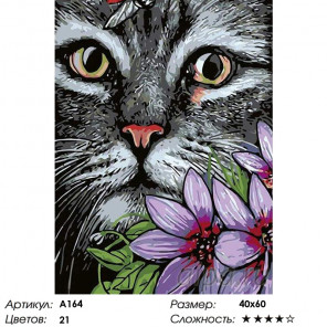  Котик Раскраска картина по номерам на холсте A164