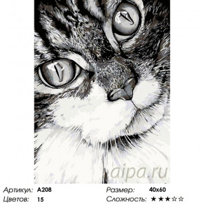  Кошачий взгляд Раскраска картина по номерам на холсте A208
