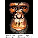 Портрет обезьяны Раскраска картина по номерам на холсте