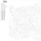 Схема Радужный тигр Раскраска картина по номерам на холсте PA10