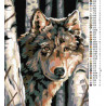 Схема Волк в ожидании Алмазная вышивка мозаика DI-E095