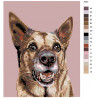 Схема Служебный пес Раскраска по номерам на холсте Живопись по номерам A223