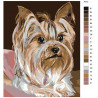 Схема Послушная собачка Раскраска по номерам на холсте Живопись по номерам A372