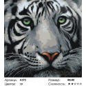 Мудрый тигр Раскраска по номерам на холсте Живопись по номерам