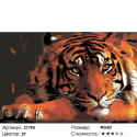 Тигр в уединении Раскраска по номерам на холсте Живопись по номерам