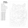 Сложность Радужный портрет волка Раскраска по номерам на холсте Живопись по номерам D02