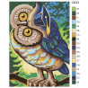 Раскладка Точка зрения совы Раскраска по номерам на холсте Живопись по номерам D033