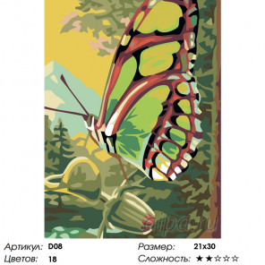  Бабочка на ветке Раскраска по номерам на холсте Живопись по номерам D08