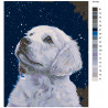 Схема Ночное небо Раскраска по номерам на холсте Живопись по номерам ARTH-AH142