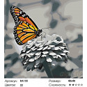 Прекрасная бабочка Раскраска по номерам на холсте Живопись по номерам