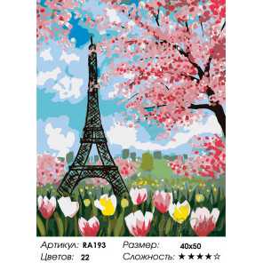 Количество цветов и сложность Каникулы в Париже Раскраска по номерам на холсте Живопись по номерам RA193