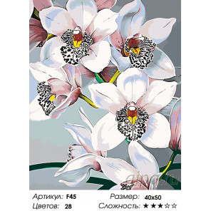  Стильные орхидеи Раскраска по номерам на холсте Живопись по номерам F45