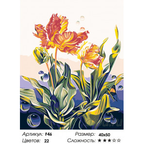 Количество цветов и сложность Ажурные тюльпаны Раскраска по номерам на холсте Живопись по номерам F46