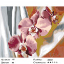 Шелковые орхидеи Раскраска по номерам на холсте Живопись по номерам
